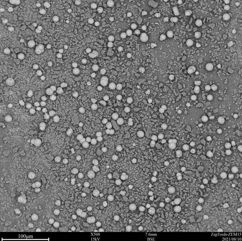 500倍臺(tái)式掃描電鏡拍攝圖 500倍臺(tái)式掃描電鏡拍攝圖