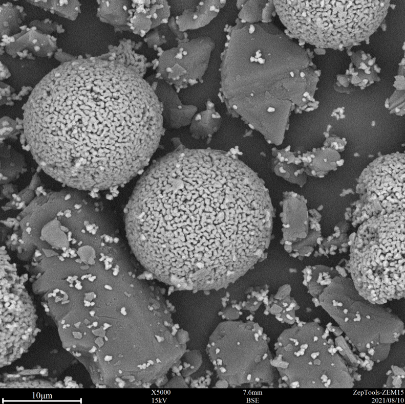 5000倍臺(tái)式掃描電鏡拍攝圖 5000倍臺(tái)式掃描電鏡拍攝圖