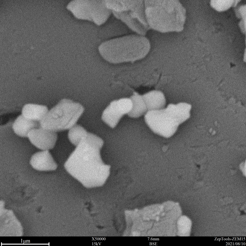 50000倍臺(tái)式掃描電鏡拍攝圖 50000倍臺(tái)式掃描電鏡拍攝圖