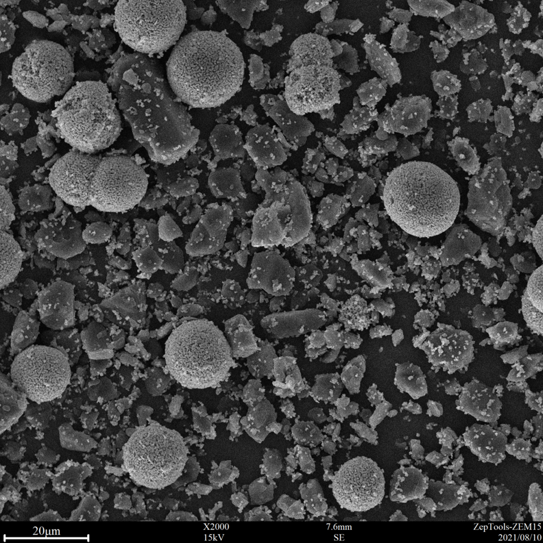 2000倍臺(tái)式掃描電鏡拍攝圖 2000倍臺(tái)式掃描電鏡拍攝圖