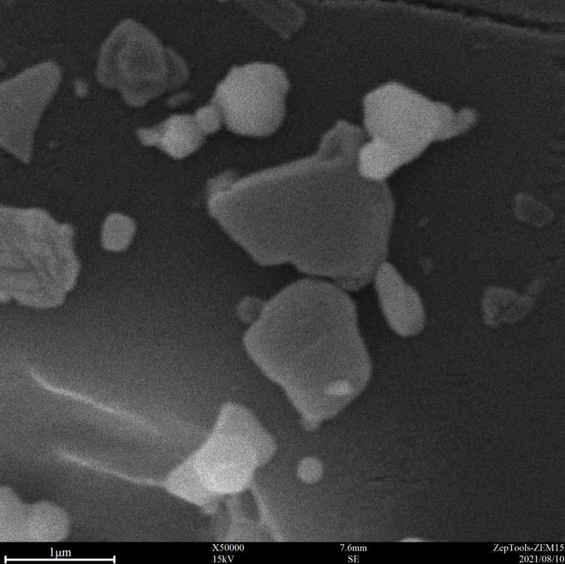 50000倍臺(tái)式掃描電鏡拍攝圖 50000倍臺(tái)式掃描電鏡拍攝圖