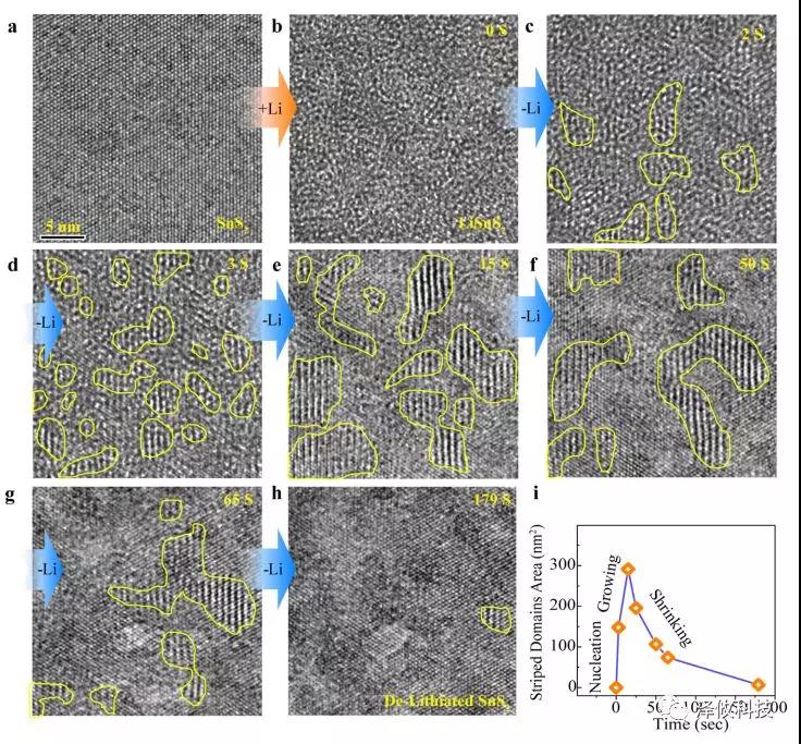 原位樣品桿應用圖 原位樣品桿應用圖