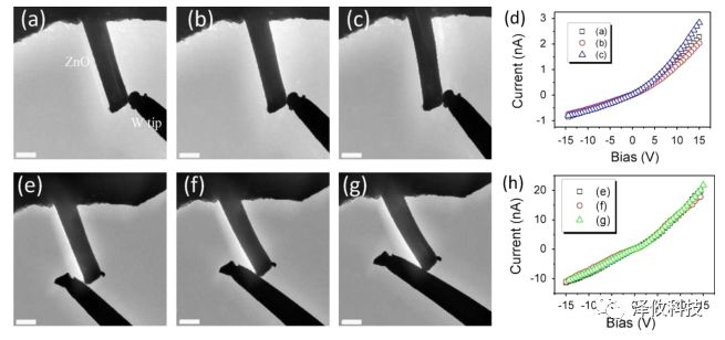 原位樣品桿應用 原位樣品桿應用