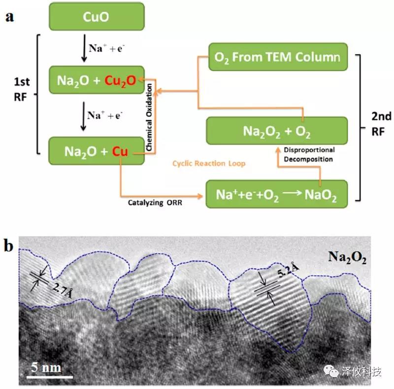 Nano Letter:澤攸科技原位系統應用于固態氧鈉電池(圖7) PicoFemto系列原位樣品桿研究實驗圖7
