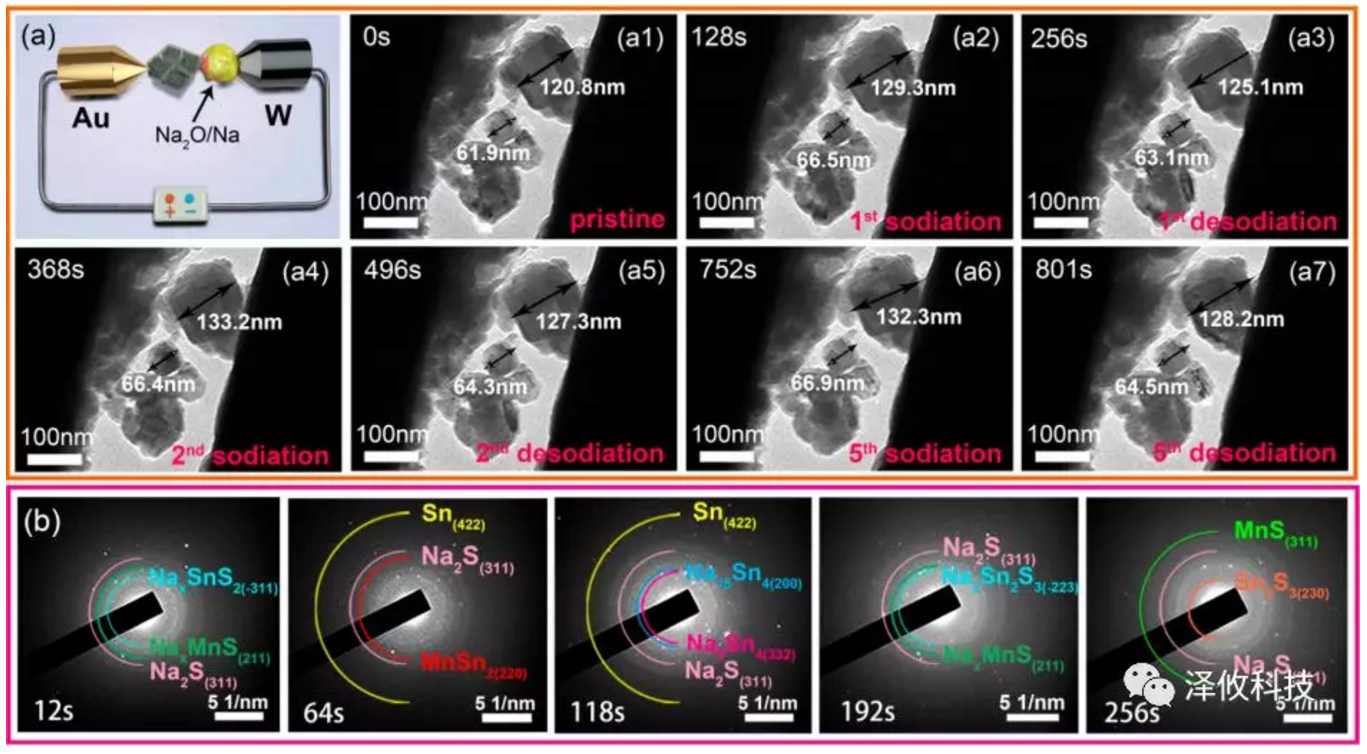 原位電學樣品桿觀察 原位電學樣品桿觀察