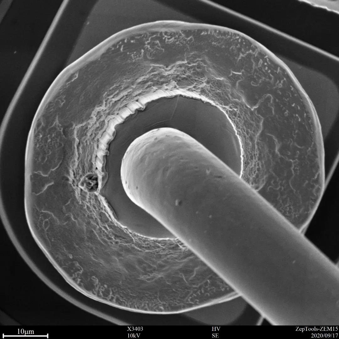 臺(tái)式掃描電鏡demo現(xiàn)場(chǎng)拍攝圖片 臺(tái)式掃描電鏡demo現(xiàn)場(chǎng)拍攝圖片