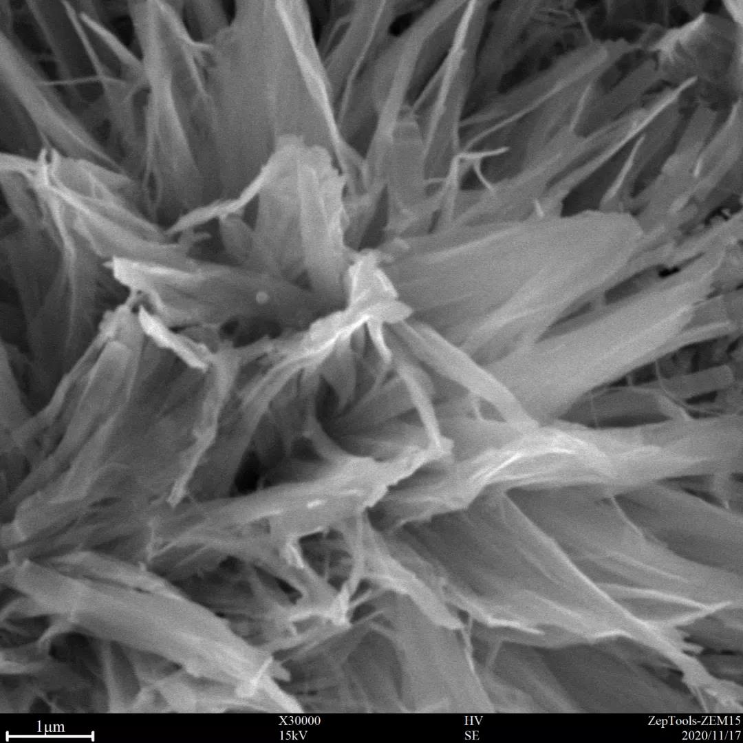 臺(tái)式掃描電鏡3萬(wàn)倍的氧化物樣品 臺(tái)式掃描電鏡3萬(wàn)倍的氧化物樣品