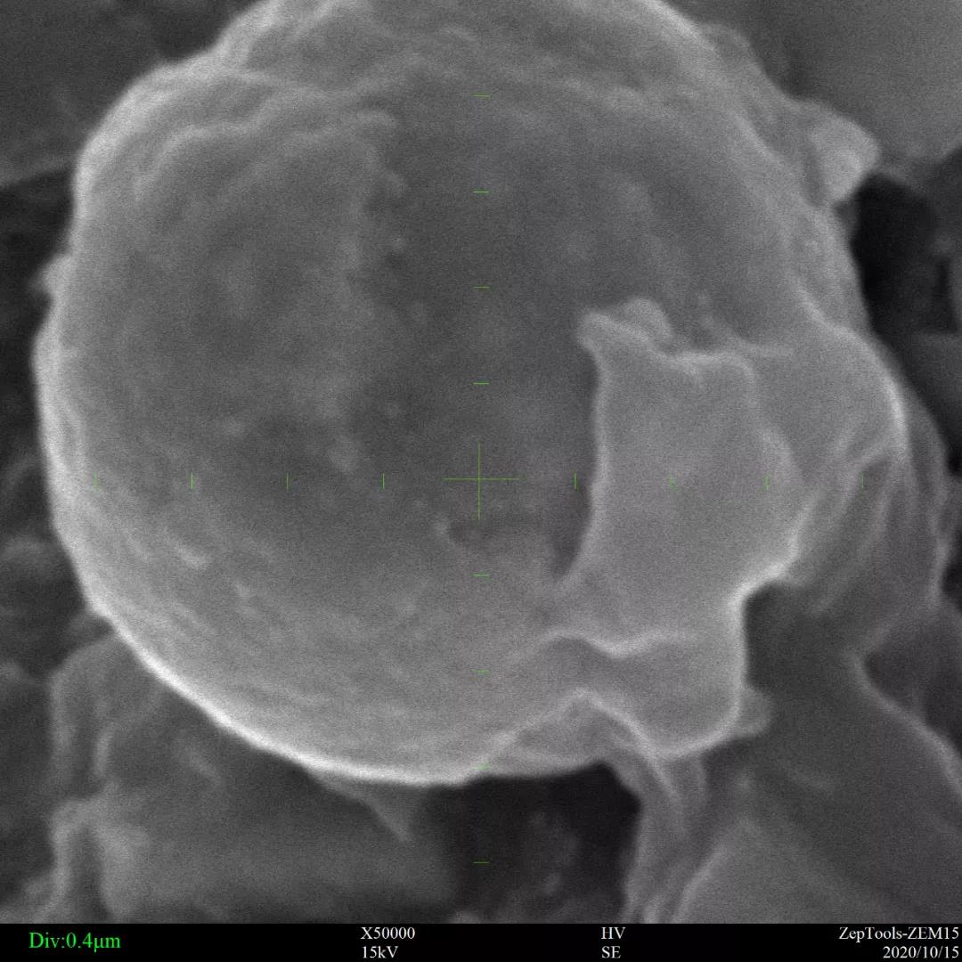 臺(tái)式掃描電鏡5萬(wàn)倍的粉末樣品 臺(tái)式掃描電鏡5萬(wàn)倍的粉末樣品