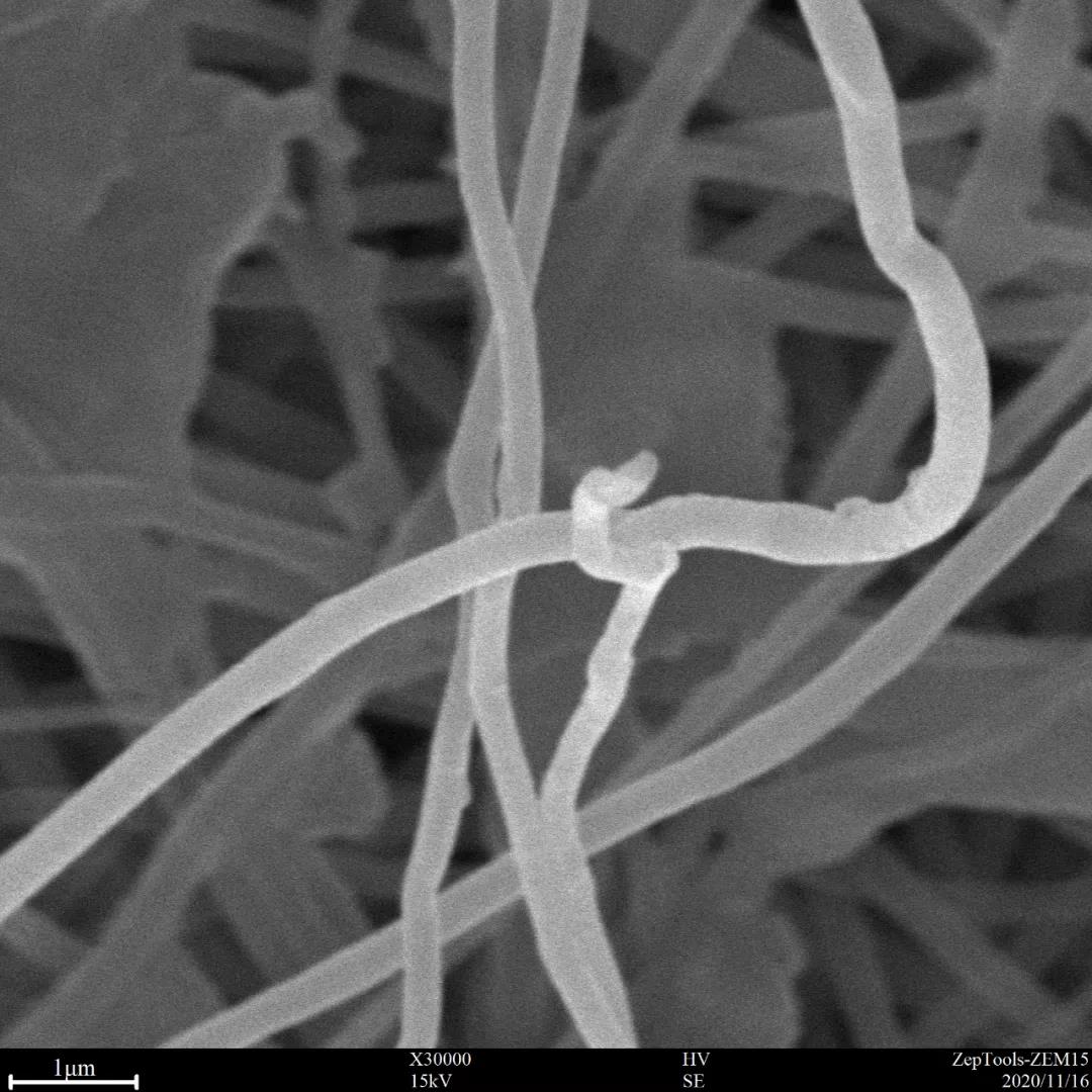 臺(tái)式掃描電鏡3萬(wàn)倍納米纖維 臺(tái)式掃描電鏡3萬(wàn)倍納米纖維