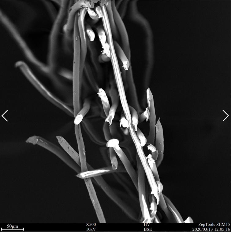 三無口罩中間層的截面掃描電鏡圖 三無口罩中間層的截面掃描電鏡圖
