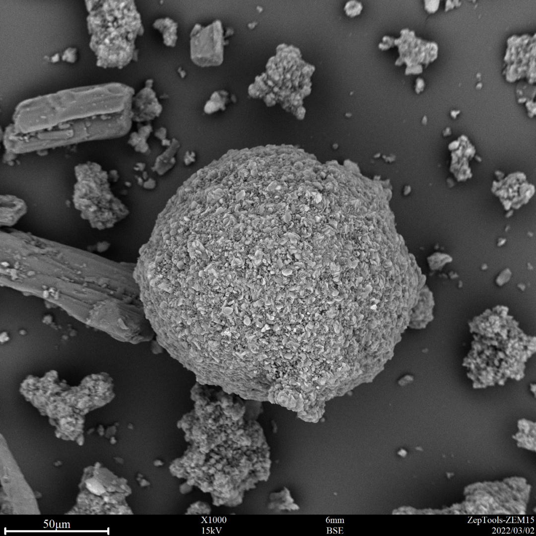 圖2 頭孢(臺式掃描電鏡1000倍照) 圖2 頭孢(臺式掃描電鏡1000倍照)