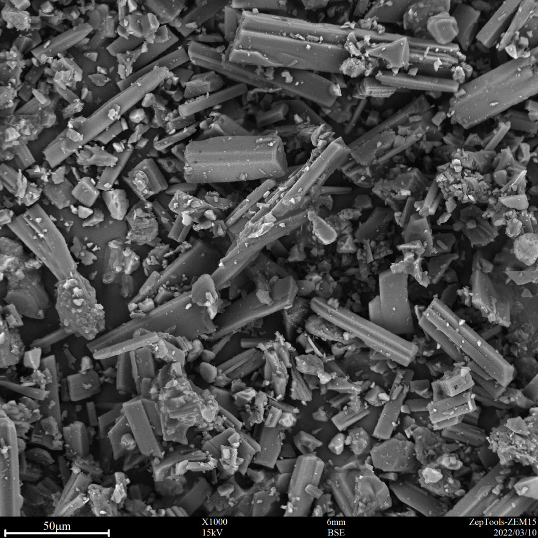 圖7 阿莫西林(臺式掃描電鏡1000倍照) 圖7 阿莫西林(臺式掃描電鏡1000倍照)