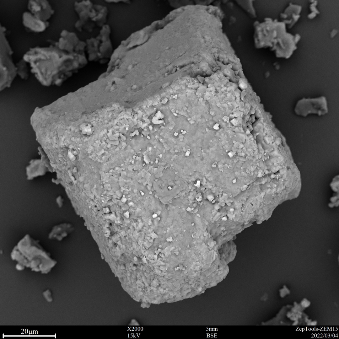 圖9 口服補鹽劑(臺式掃描電鏡2000倍照) 圖9 口服補鹽劑(臺式掃描電鏡2000倍照)