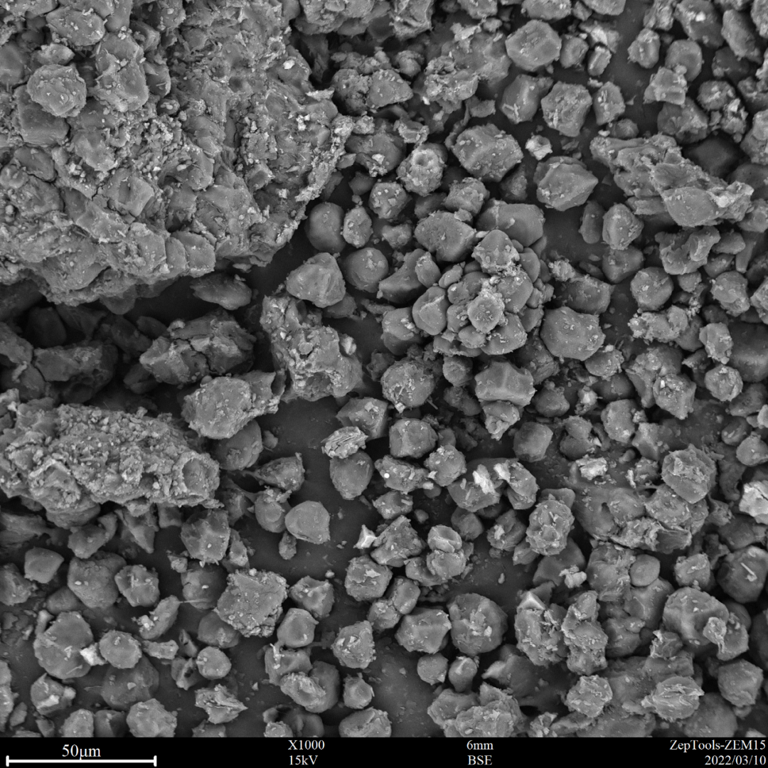 圖10 氯雷他定(臺式掃描電鏡1000倍照) 圖10 氯雷他定(臺式掃描電鏡1000倍照)