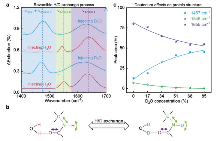 Adv. Mater.:國家納米中心利用紅外光譜原位識別液體中的納米級生物分子(圖5) 圖4 石墨烯等離激元增強.png
