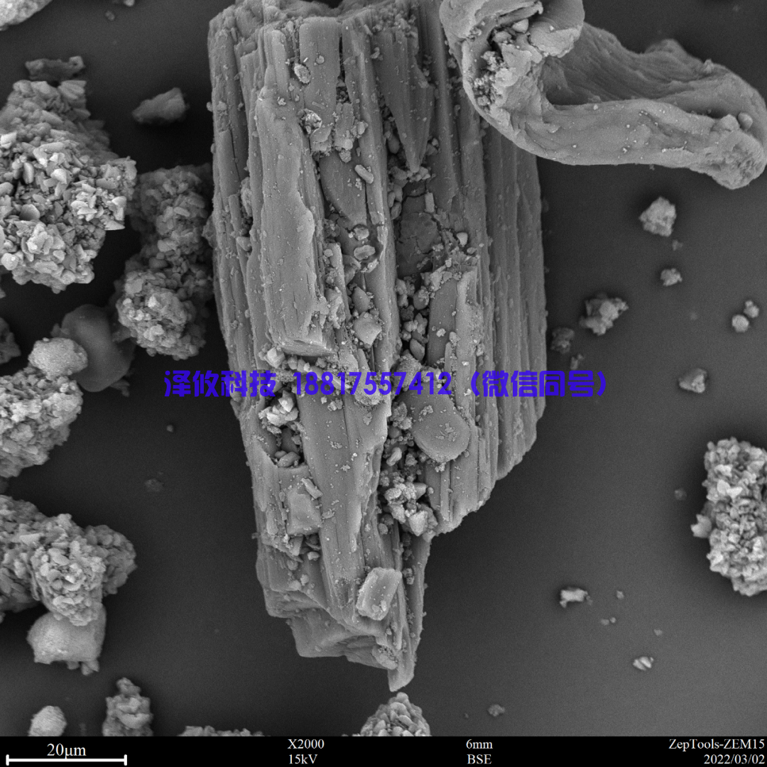 頭孢稀釋劑(臺式掃描電鏡2000倍照).png 頭孢稀釋劑(臺式掃描電鏡2000倍照).png