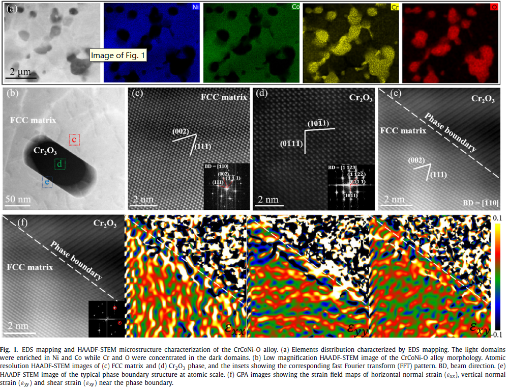 圖1 CrCoNi-O 合金的前期微觀結構表征.png 圖1 CrCoNi-O 合金的前期微觀結構表征.png