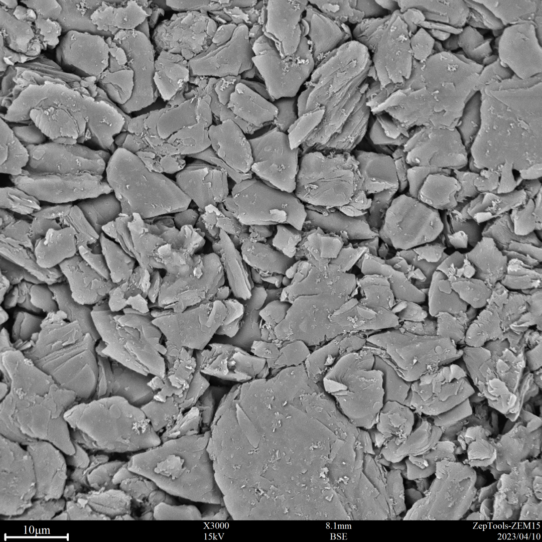 負(fù)極極片 負(fù)極極片