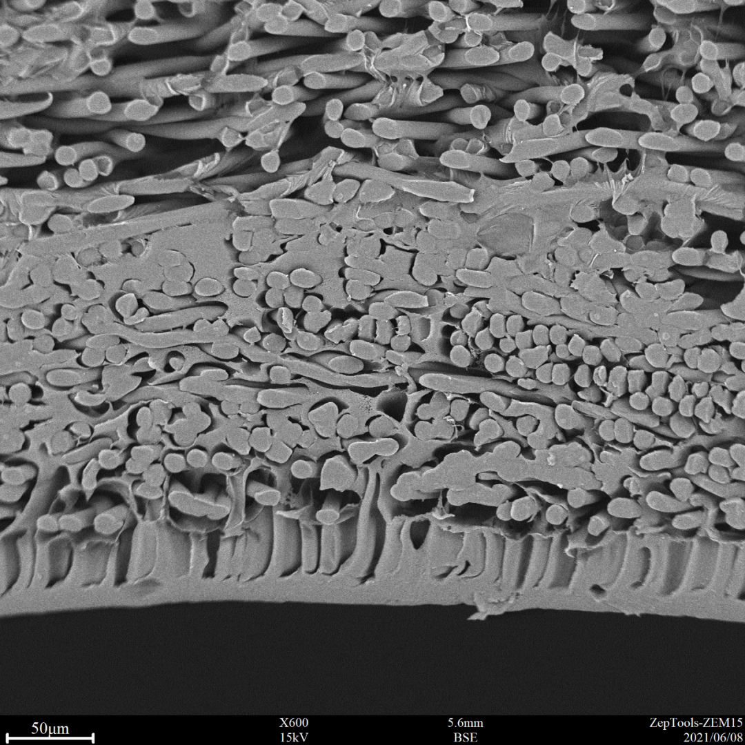 高分子材料 高分子材料