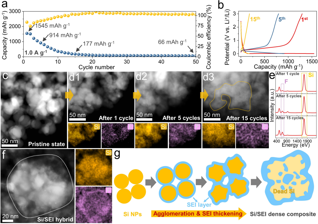 Si NPs的超快容量衰減和結(jié)構(gòu)劣化機制解析 Si NPs的超快容量衰減和結(jié)構(gòu)劣化機制解析