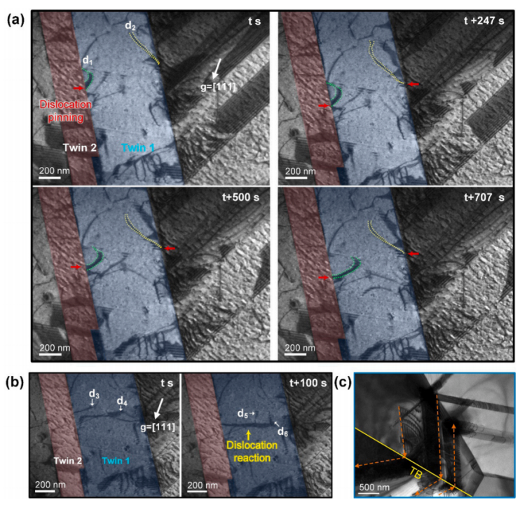 NiCoCrO合金與TWIP HEA的原位TEM拉伸實驗2 NiCoCrO合金與TWIP HEA的原位TEM拉伸實驗2