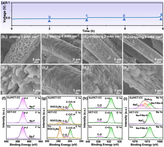 Au/HCT-CC電極沉積剝離的非原位SEM表征和循環(huán)后SEI層的XPS測試 Au/HCT-CC電極沉積剝離的非原位SEM表征和循環(huán)后SEI層的XPS測試