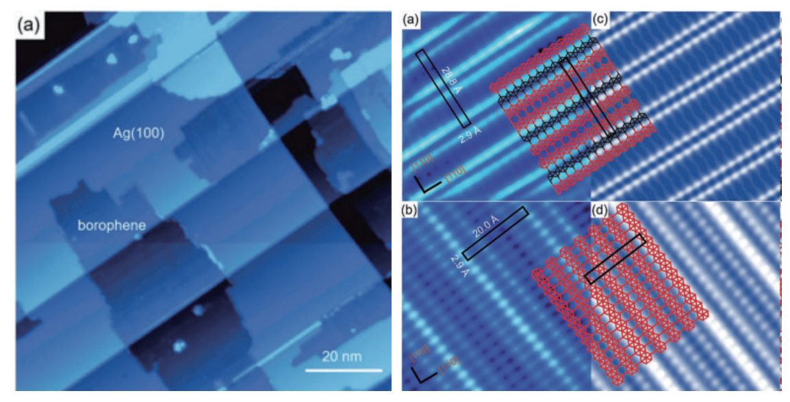 銀上的單層硼烯。 銀上的單層硼烯。