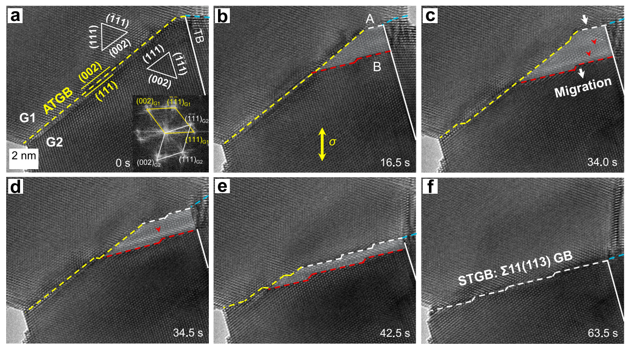 晶界動態調整的原位觀測 晶界動態調整的原位觀測