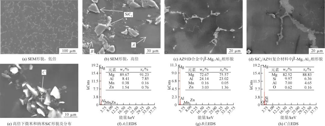 雙尺寸SiCp/AZ91復合材料的SEM顯微照片及成分分析 雙尺寸SiCp/AZ91復合材料的SEM顯微照片及成分分析
