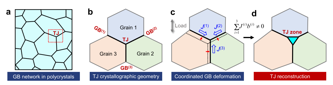 多晶網(wǎng)絡中三叉晶界的結(jié)構(gòu)轉(zhuǎn)變示意圖 多晶網(wǎng)絡中三叉晶界的結(jié)構(gòu)轉(zhuǎn)變示意圖