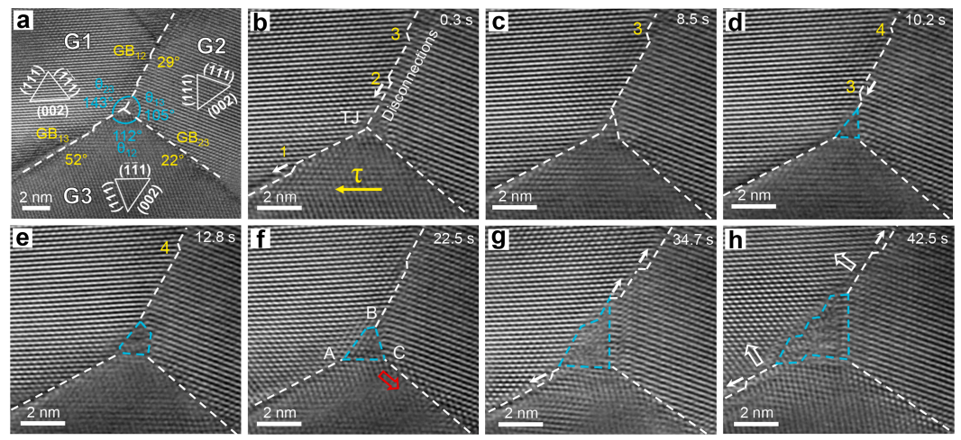 三叉晶界動態(tài)重構(gòu)的原位觀測 三叉晶界動態(tài)重構(gòu)的原位觀測