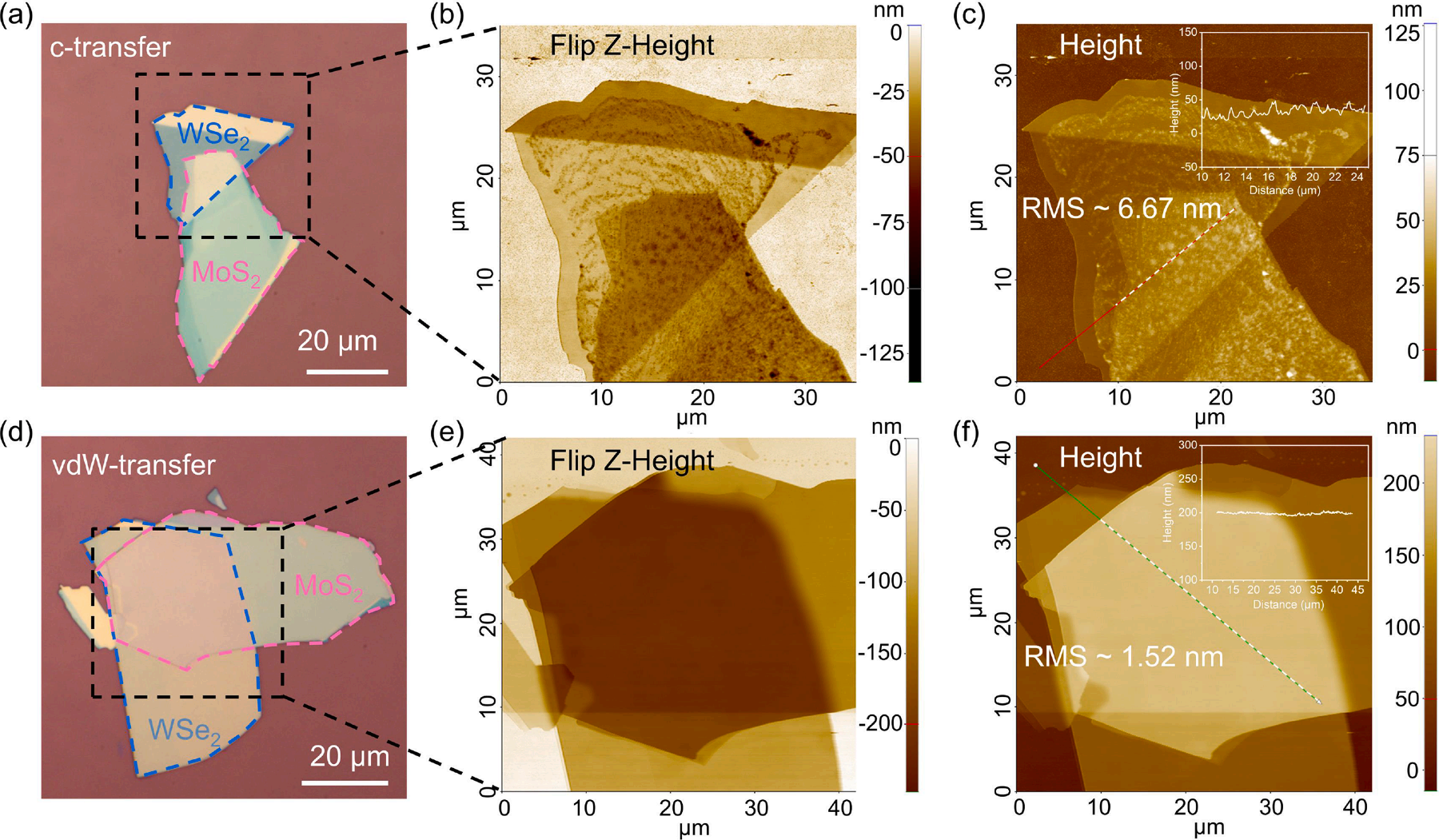 光學顯微鏡 光學顯微鏡