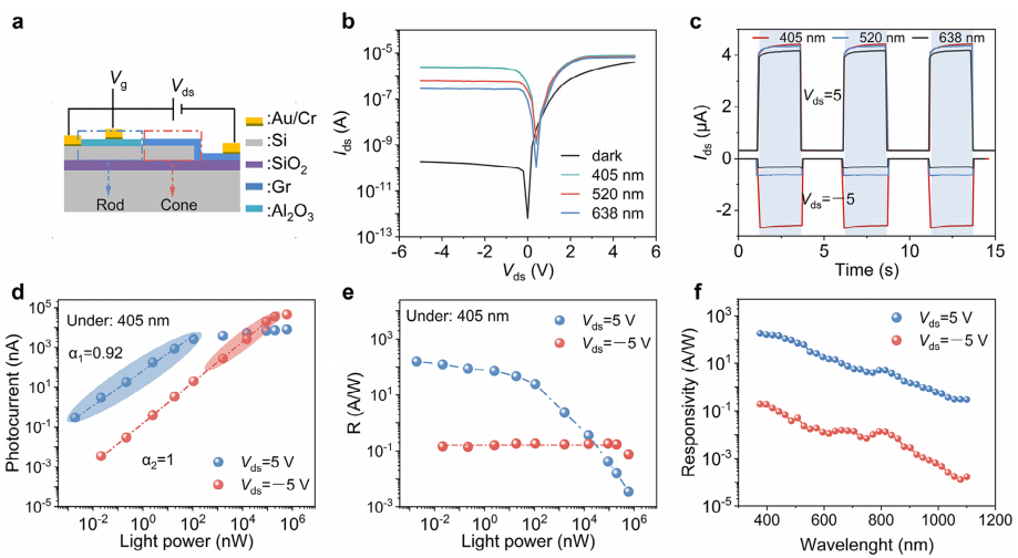 雙模光電探測器的光檢測性能 雙模光電探測器的光檢測性能
