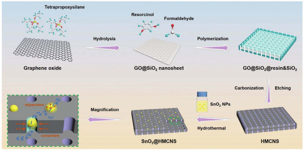 SnO?@HMCNS合成過程的示意圖
