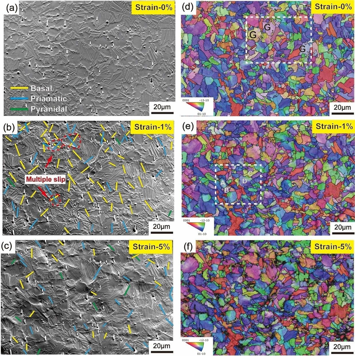 澤攸科技原位SEM 澤攸科技原位SEM