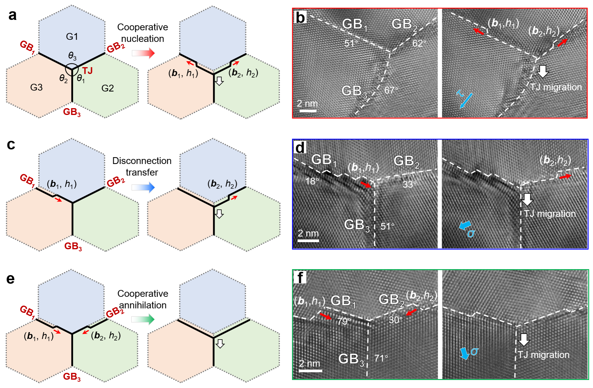 通過鄰近晶界的失配位錯動力學(xué)實現(xiàn)穩(wěn)態(tài)TJ遷移 通過鄰近晶界的失配位錯動力學(xué)實現(xiàn)穩(wěn)態(tài)TJ遷移