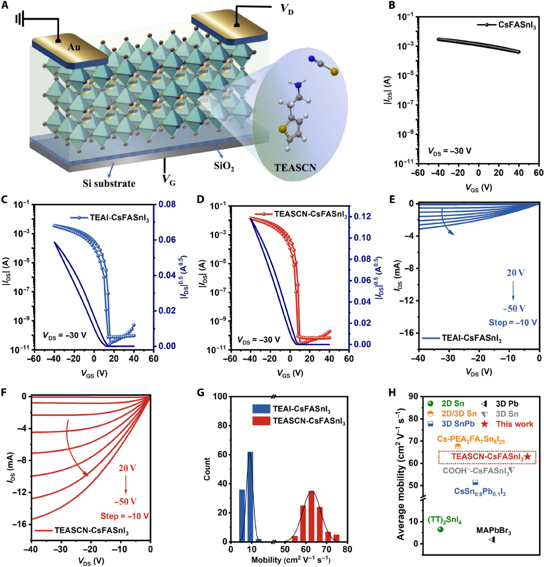 澤攸科技JS系列臺階儀