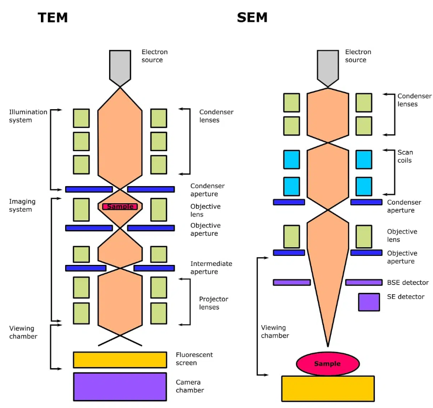 電子顯微鏡技術 電子顯微鏡技術