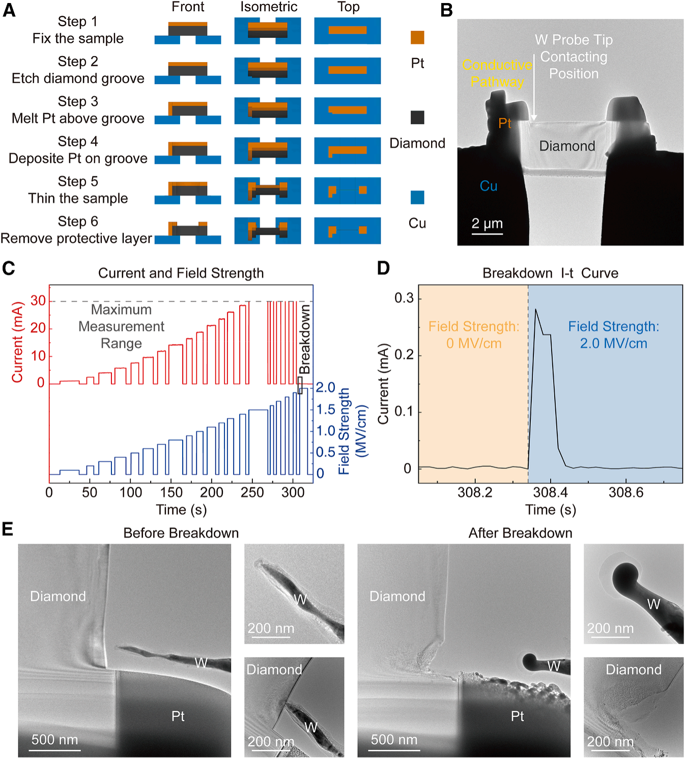 澤攸科技原位TEM 澤攸科技原位TEM