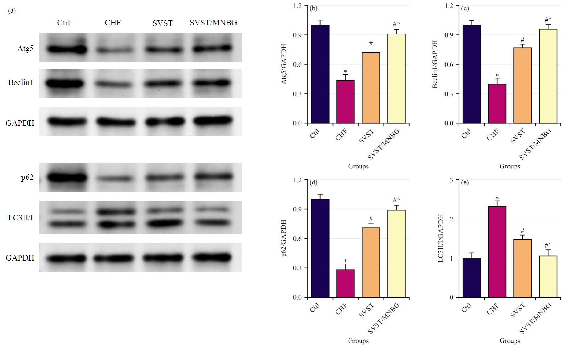 澤攸科技ZEM系列掃描電鏡 澤攸科技ZEM系列掃描電鏡