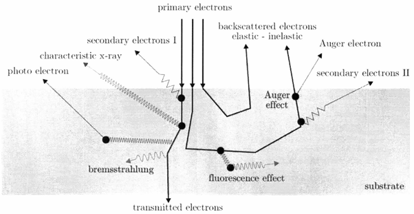 澤攸科技掃描電鏡 澤攸科技掃描電鏡