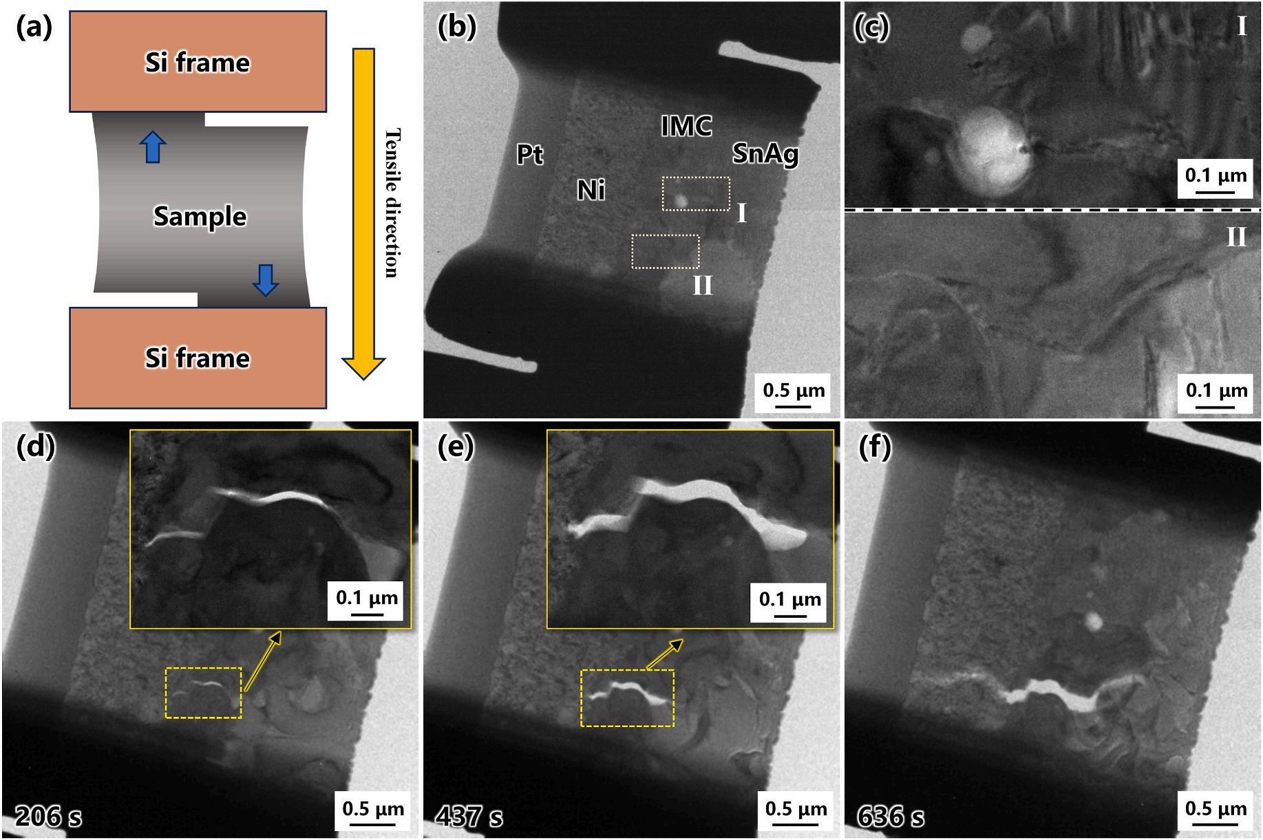 澤攸科技原位TEM