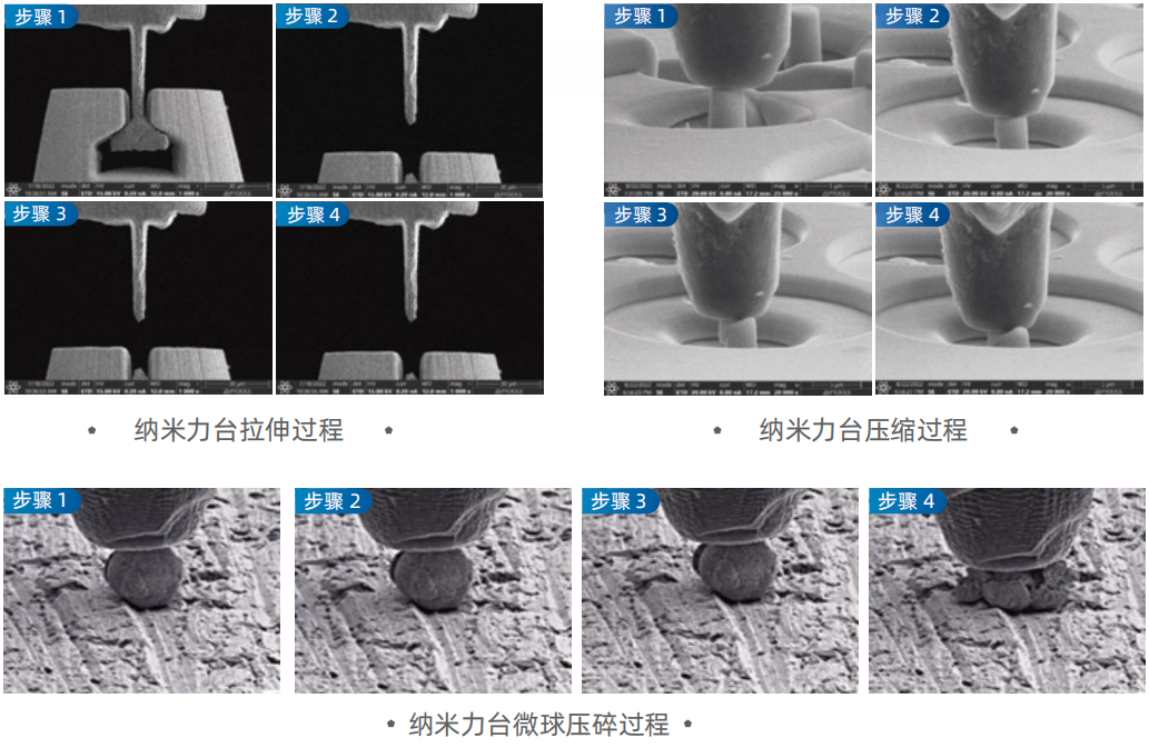 澤攸科技 澤攸科技