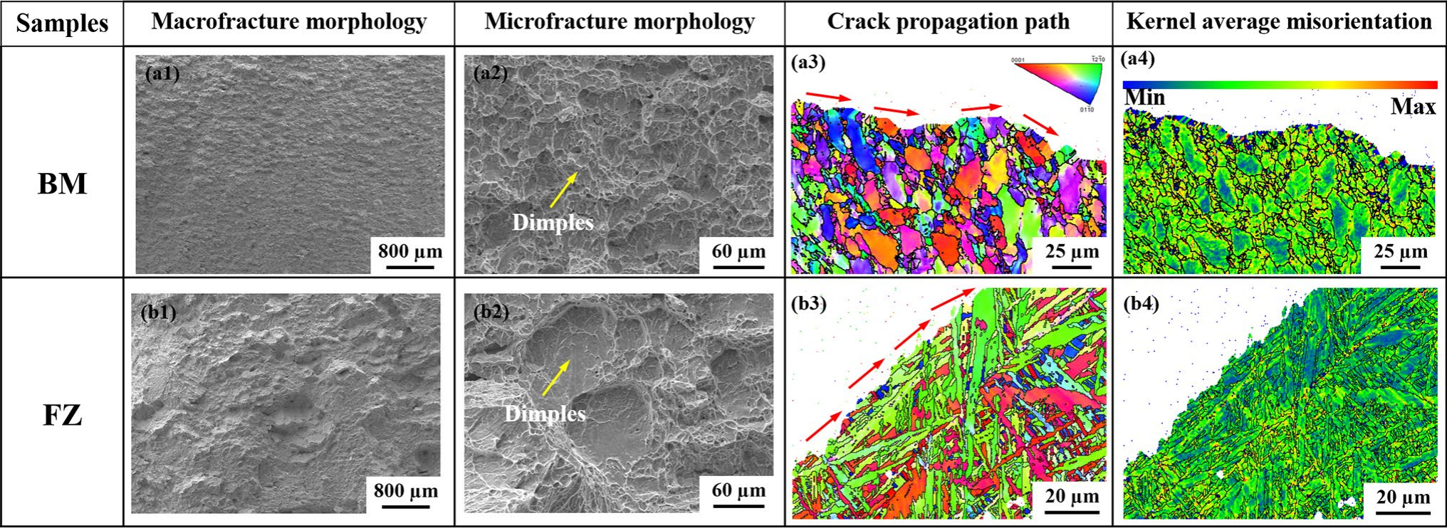 澤攸科技 澤攸科技