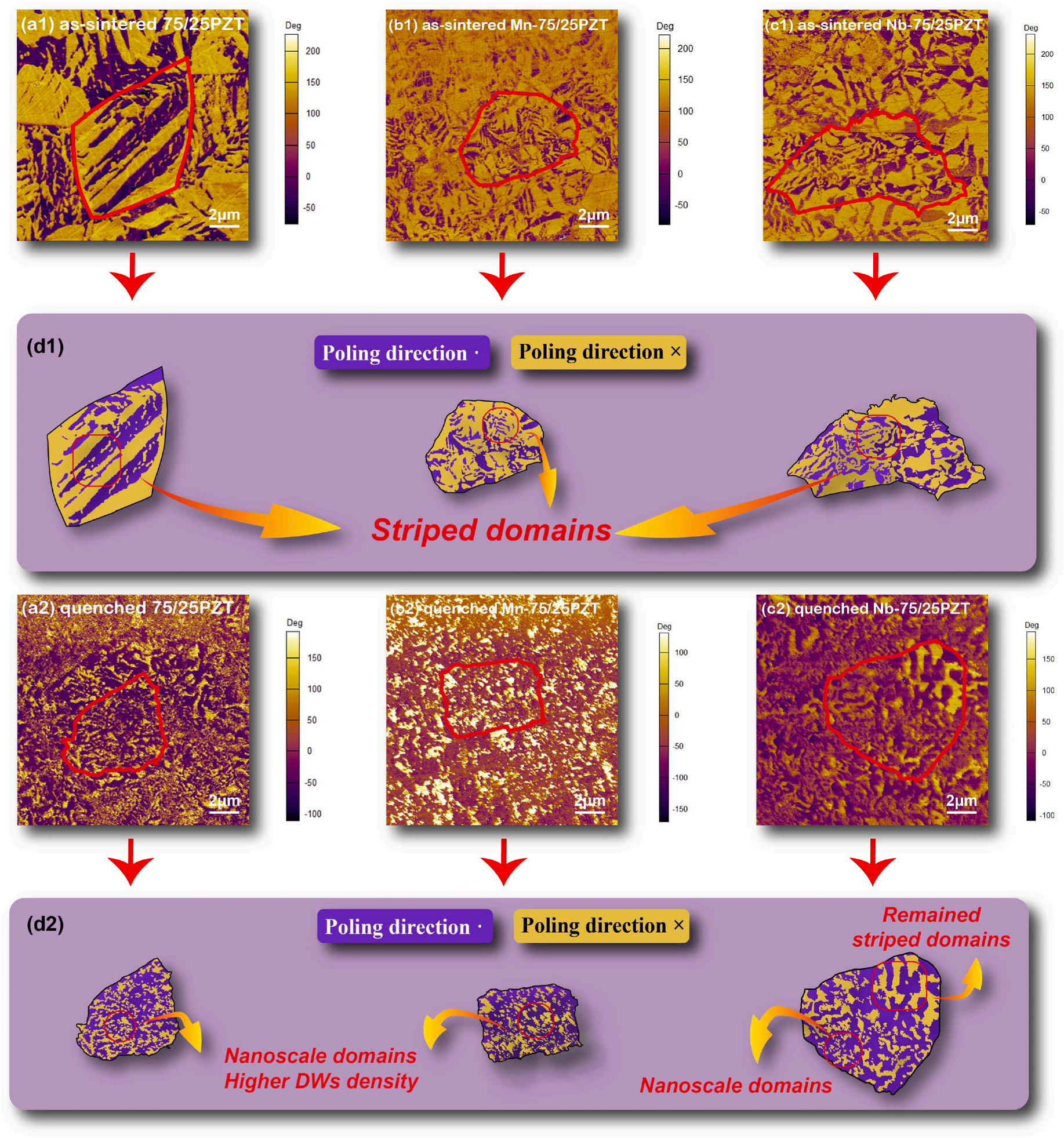 澤攸科技ZEM系列掃描電鏡 澤攸科技ZEM系列掃描電鏡