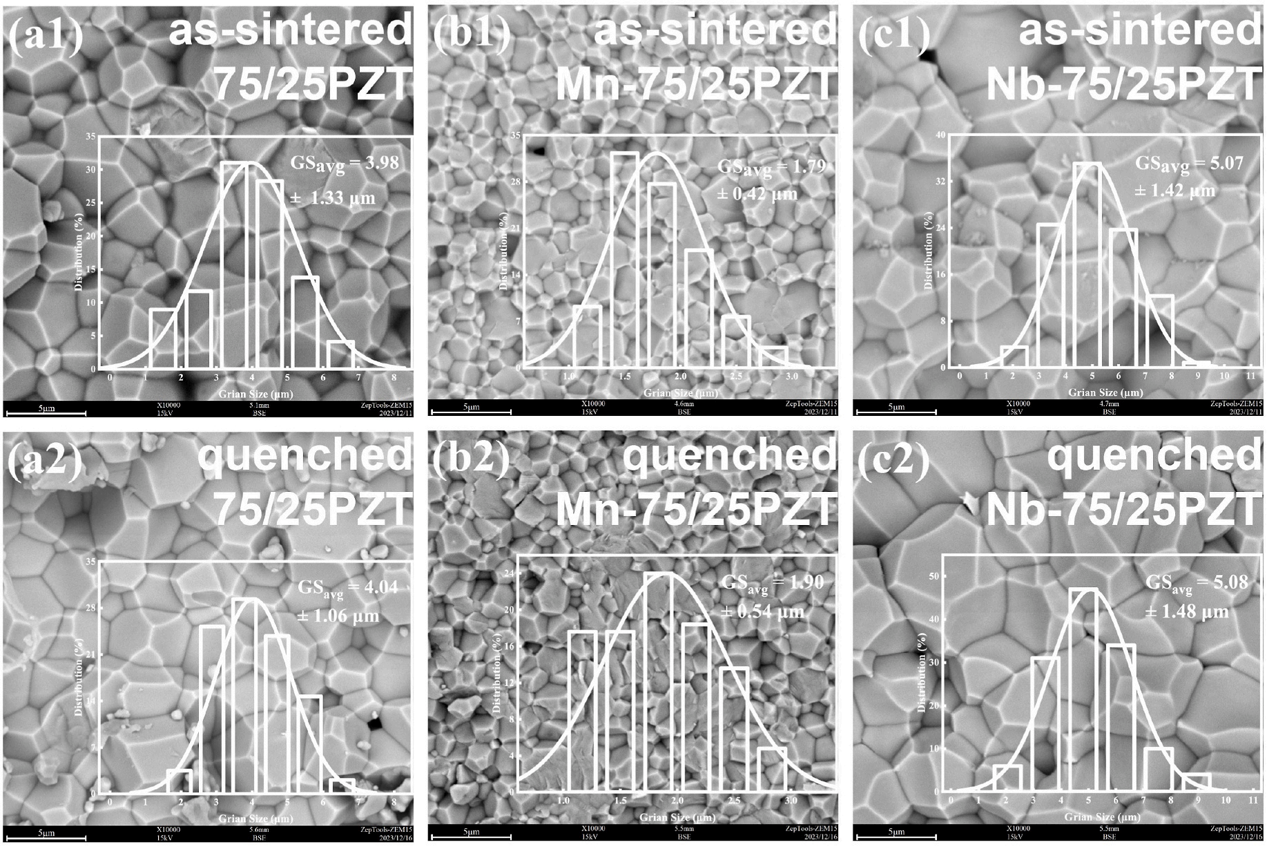 澤攸科技ZEM系列掃描電鏡 澤攸科技ZEM系列掃描電鏡