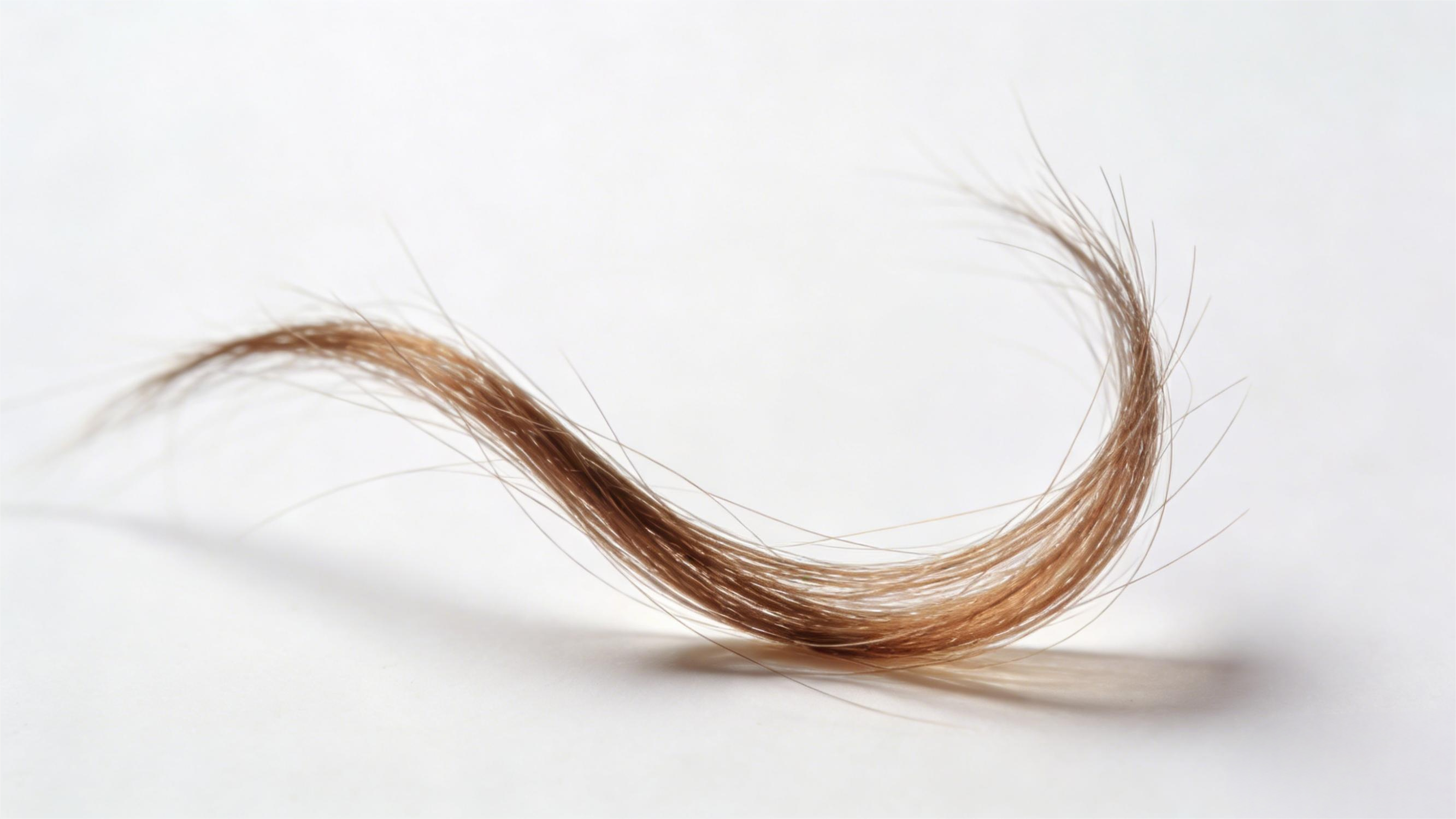 掃描電鏡 掃描電鏡