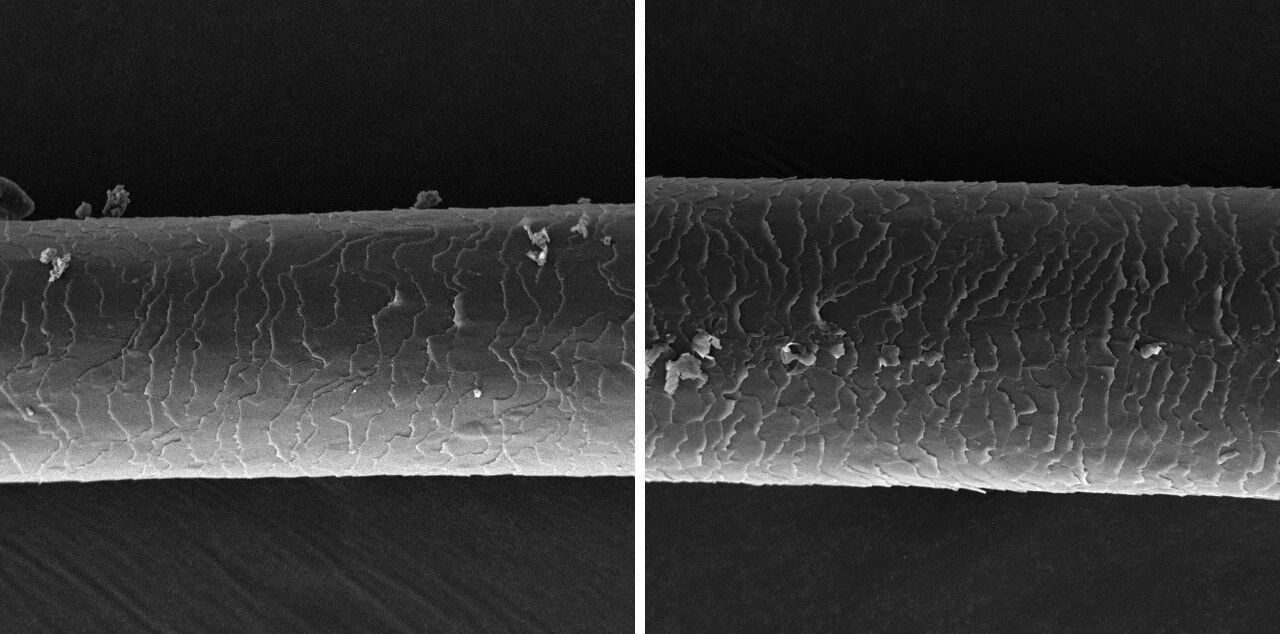 掃描電鏡 掃描電鏡