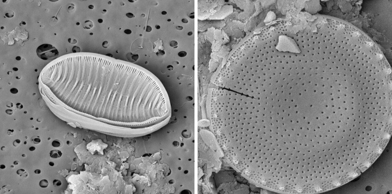 掃描電鏡 掃描電鏡