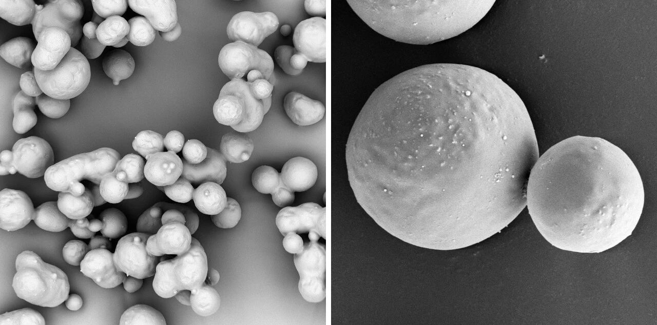 掃描電鏡 掃描電鏡